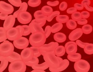 サプリ成分の目的分類１：血流の健全化